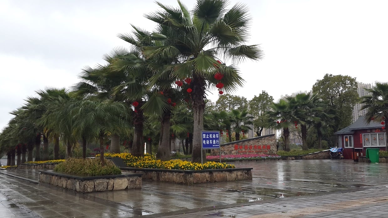 深圳會計師事務所|貴州西江苗寨|江西贛州