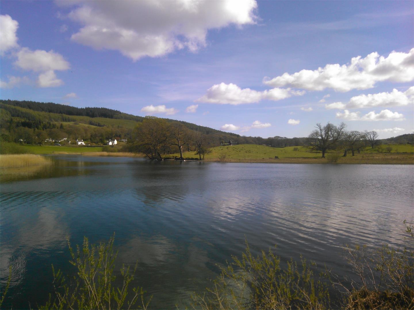 清産核資審計|深圳證券期貨業務資格會計師事務所