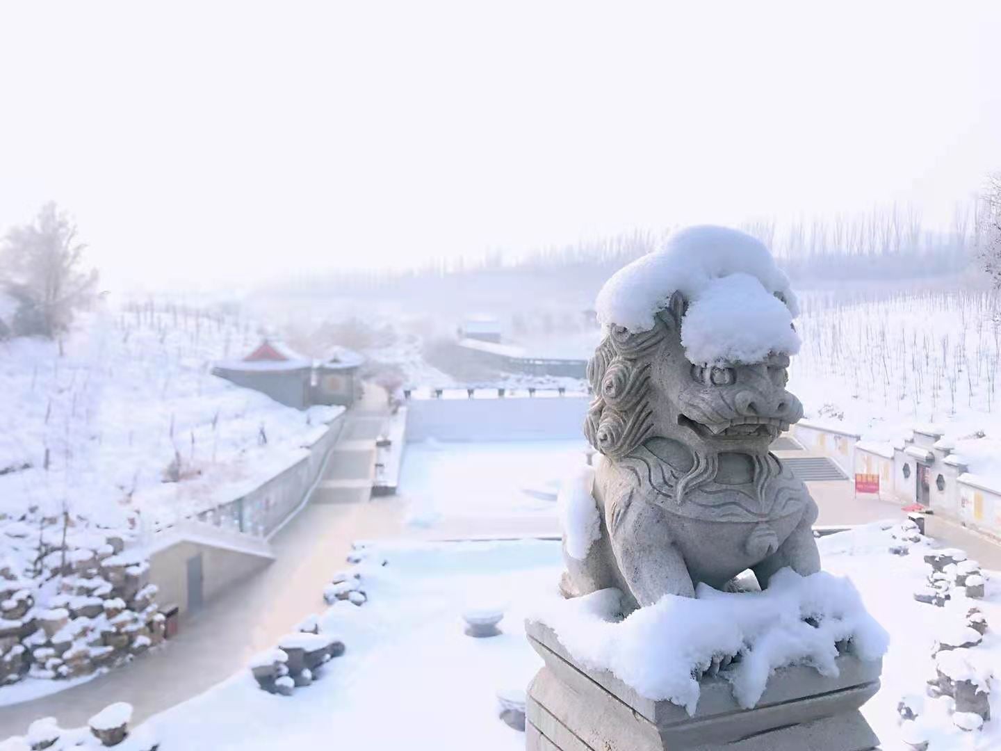 微信圖片_20210111001848 微信圖片_20210111001848