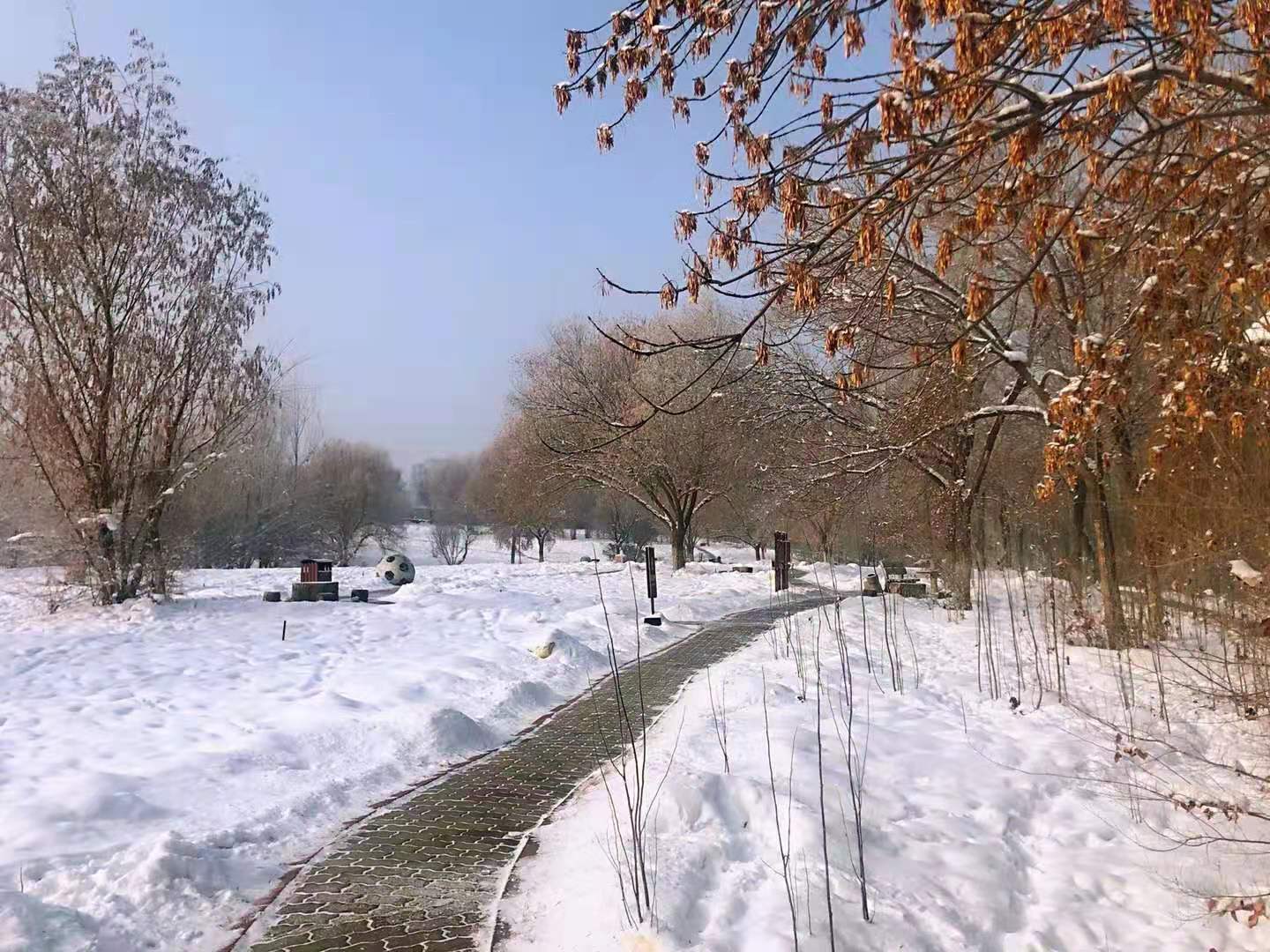 微信圖片_20210111001908 微信圖片_20210111001908