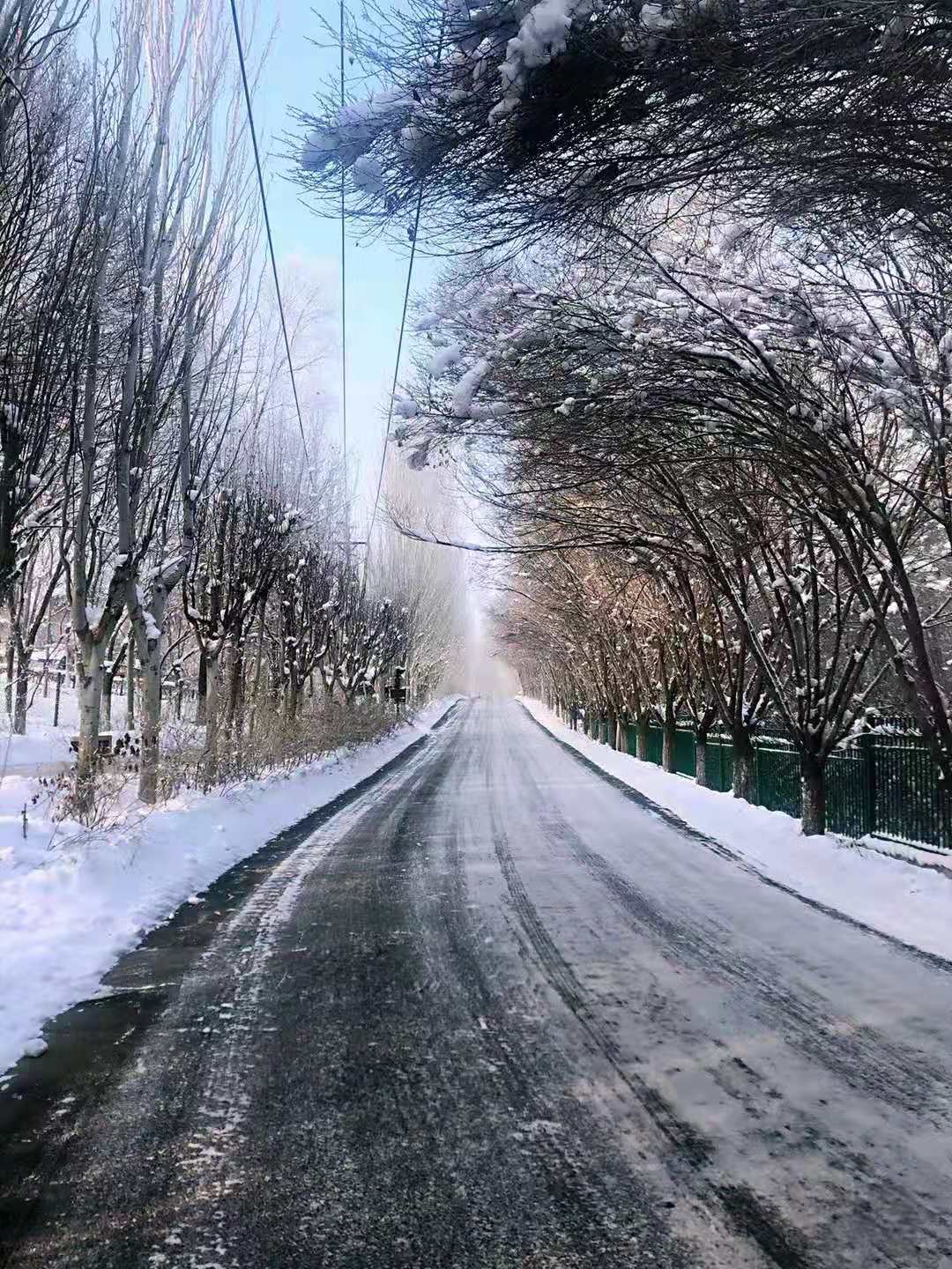 微信圖片_20210111001929 微信圖片_20210111001929