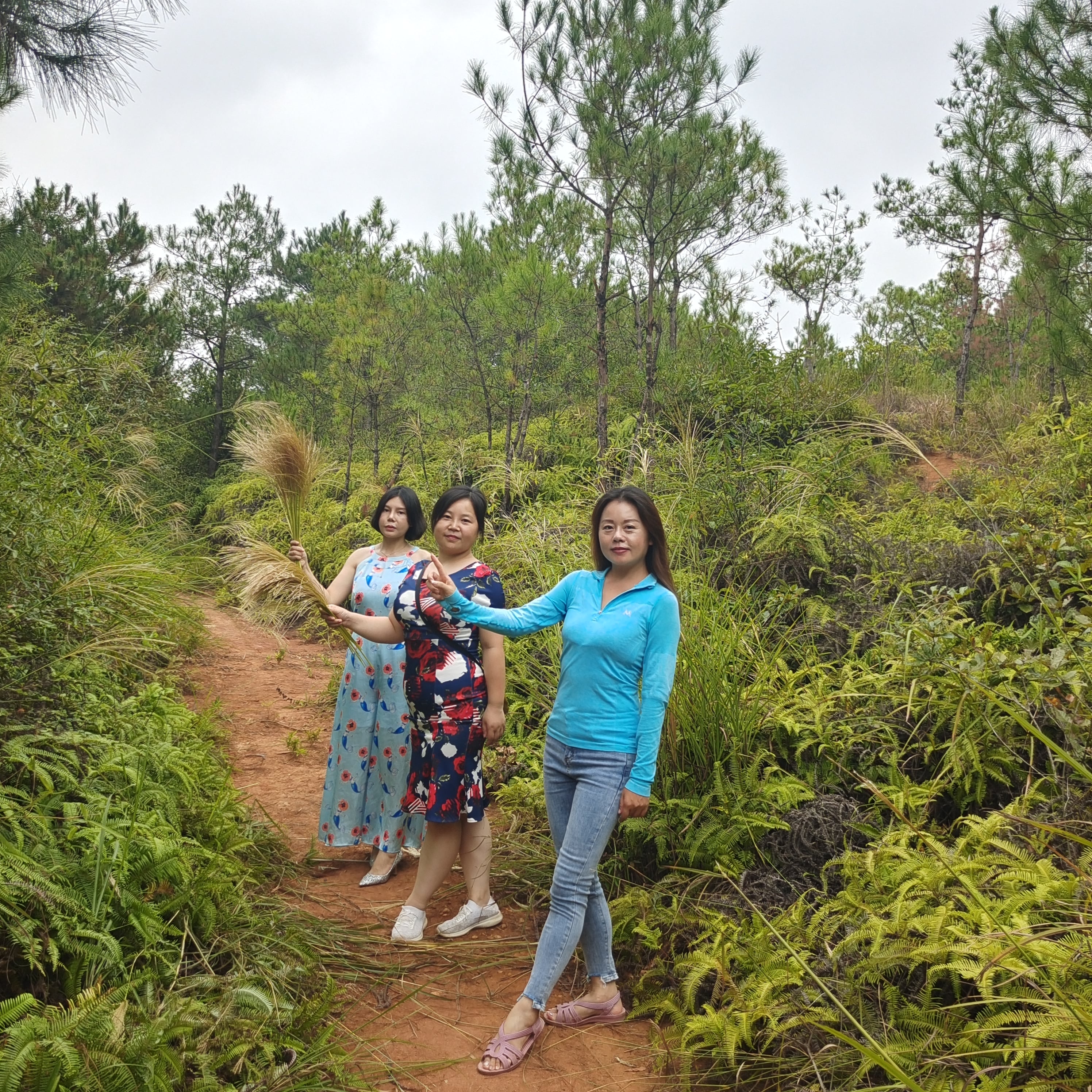 微信圖片_202112161659334 微信圖片_202112161659334